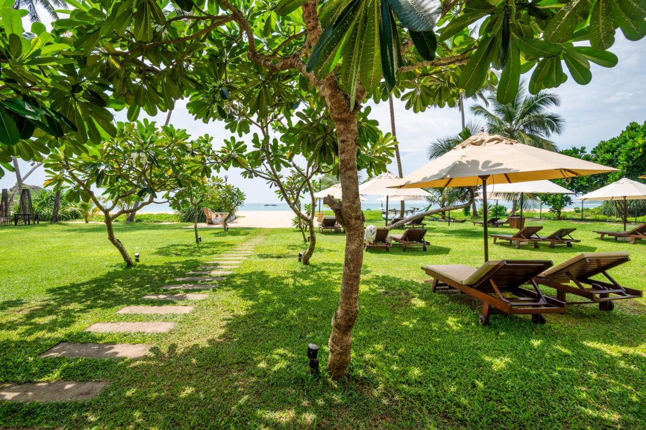 Shinagawa Beach Balapitiya Dış mekan fotoğraf