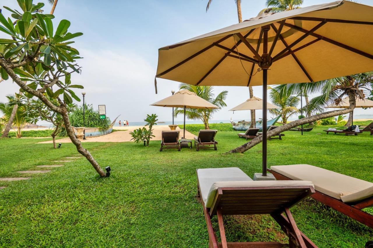 Shinagawa Beach Balapitiya Dış mekan fotoğraf